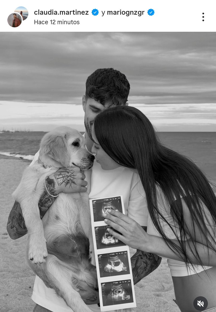 Alba Medina tweet media