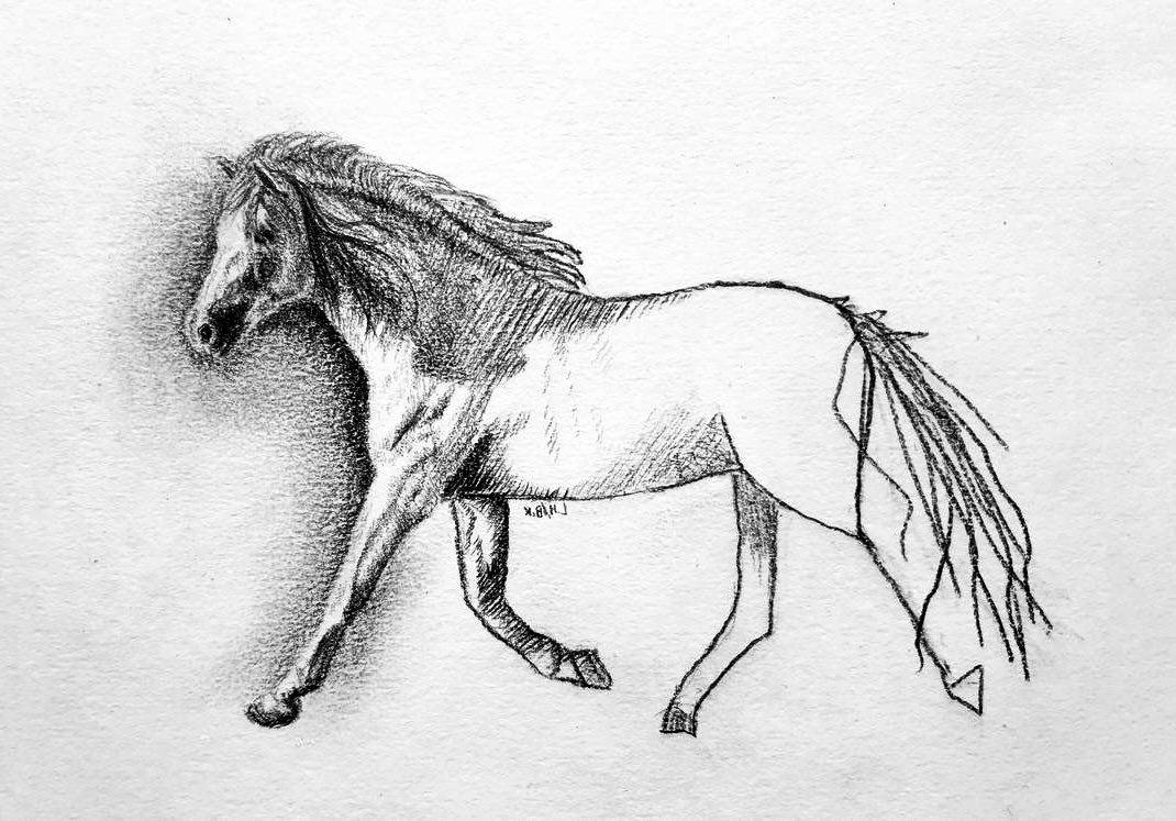 Arcadio Marcuzzi tweet media