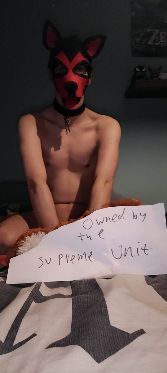 Supreme Unit - CEO in CordySix Inc. tweet media