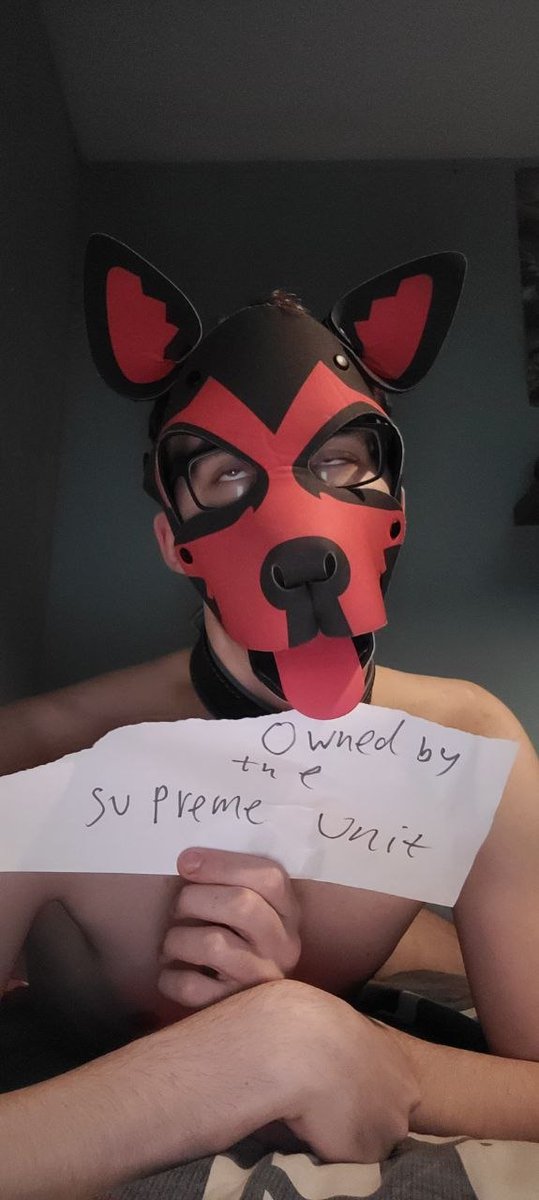 Supreme Unit - CEO in CordySix Inc. tweet media