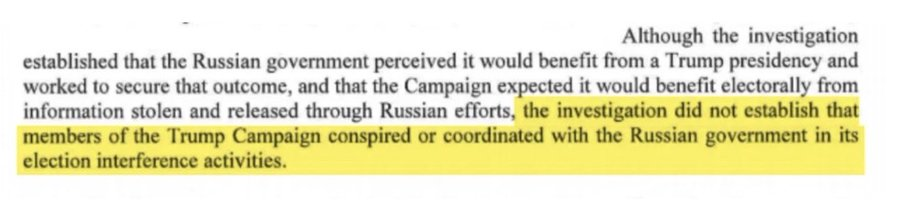 The Voice of Reason tweet media