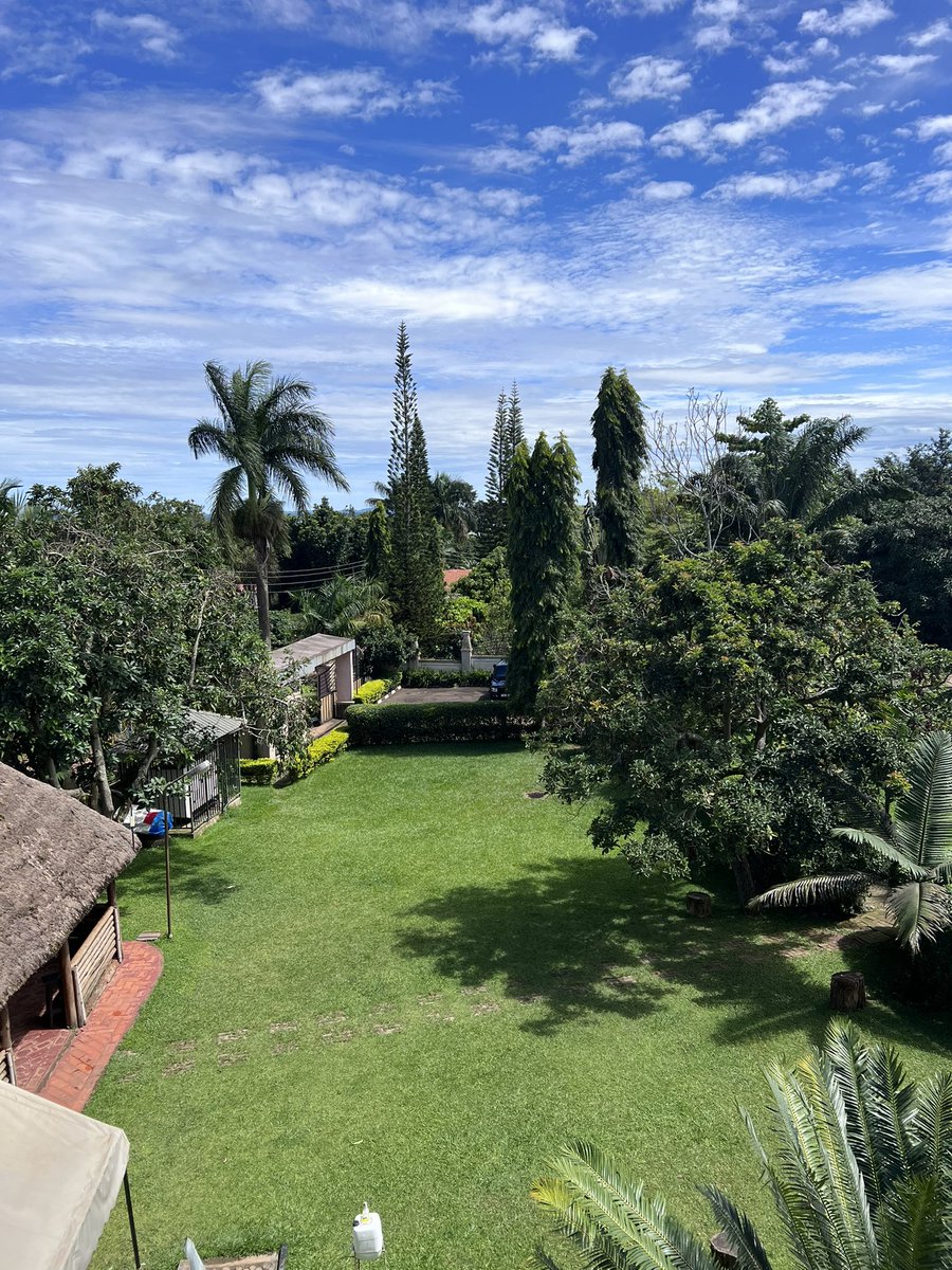 Greg (No. 1 fan to MooreTips) tweet media