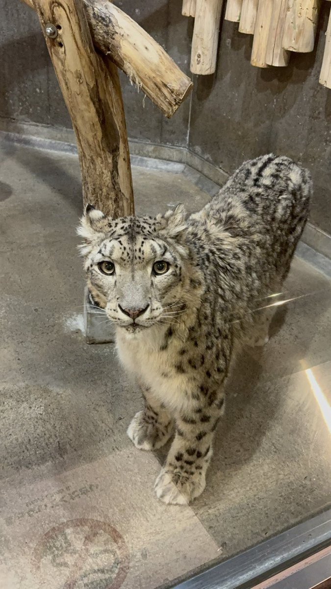 zoul. (ΘΔ) «🍉» tweet media