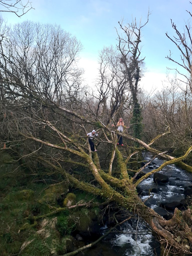 HRH Alexander I 👑 tweet media