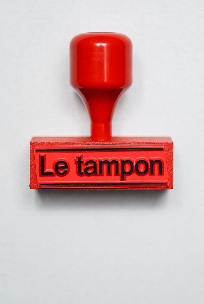 Jm-Lac 🐢 🆙 ✌ tweet media