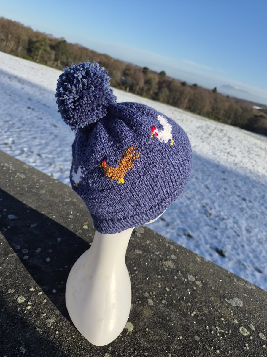 The Yorkshire Grey Sheep tweet media