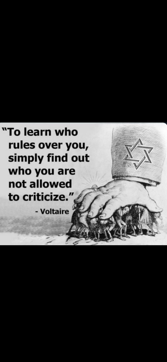 C Looper tweet media