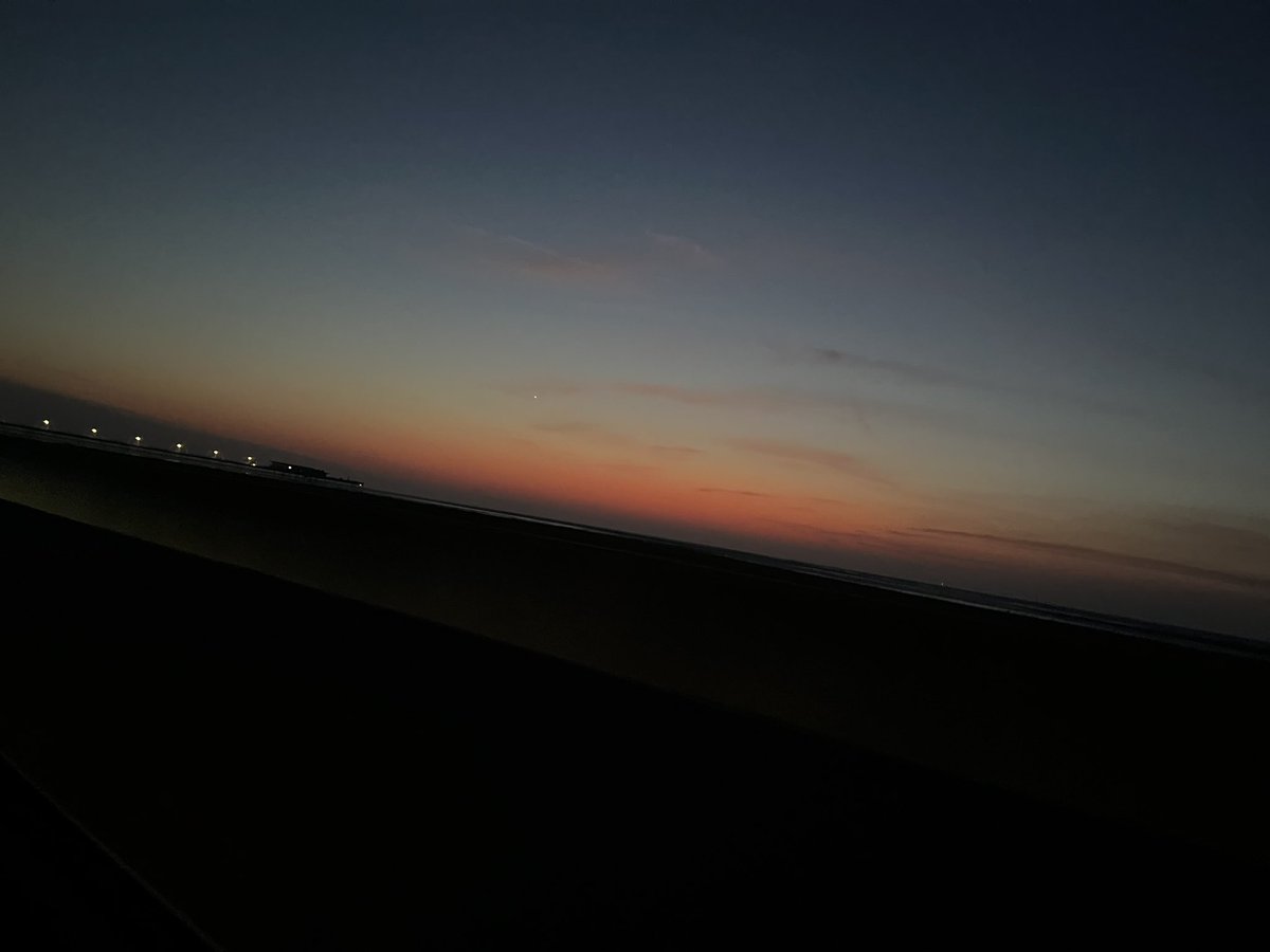 beth 🪷 tweet media