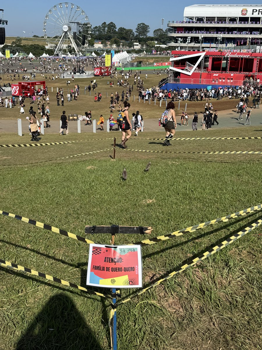 giovanna tweet media