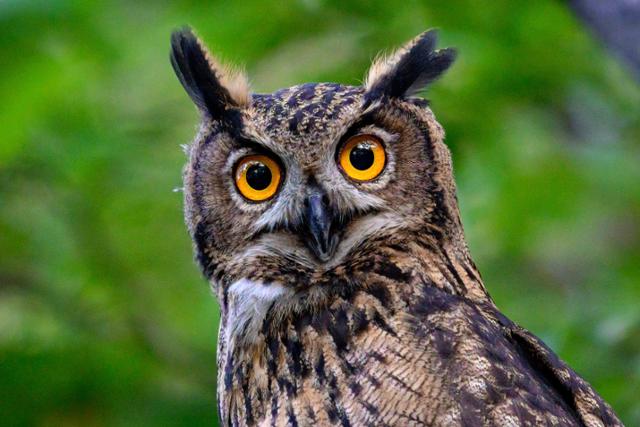 ♠️세영이♡ tweet media