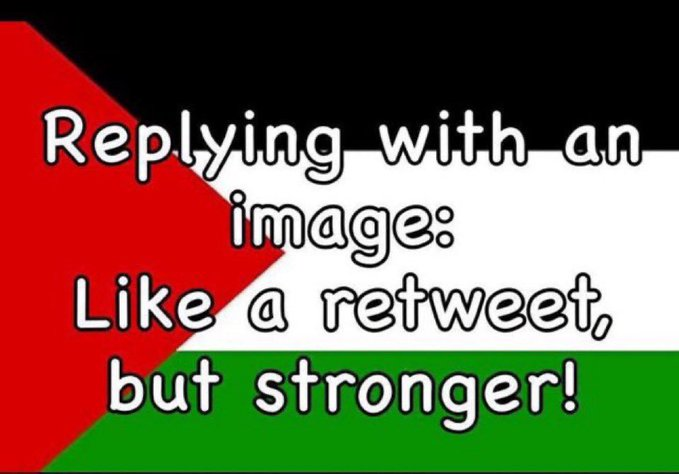 Twowphee tweet media