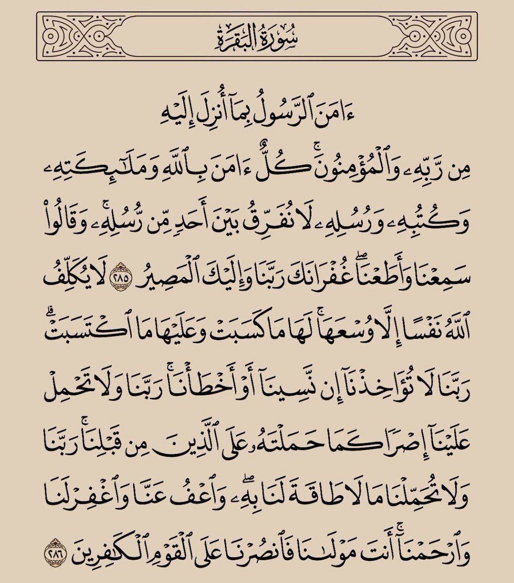 مهيّر🌟 tweet media