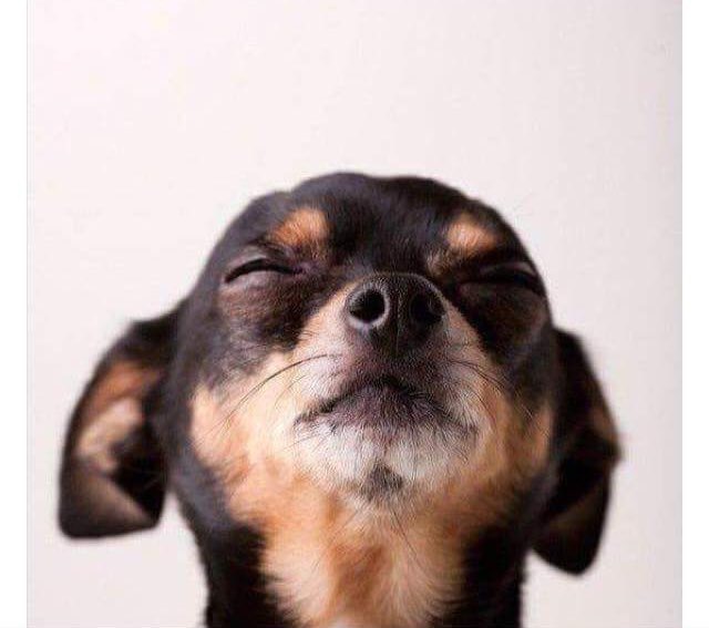 diego ☁️ tweet media