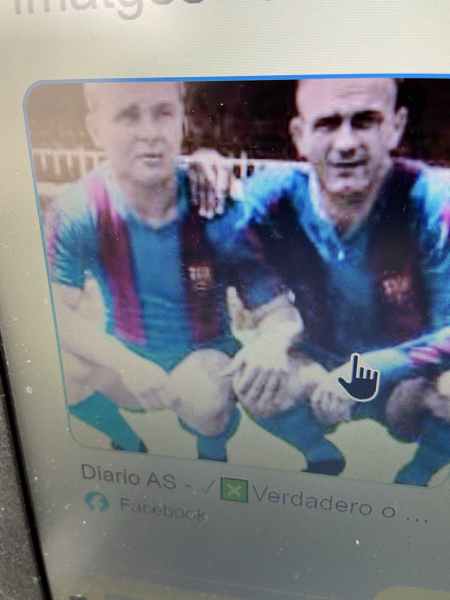 Llibert Esca tweet media