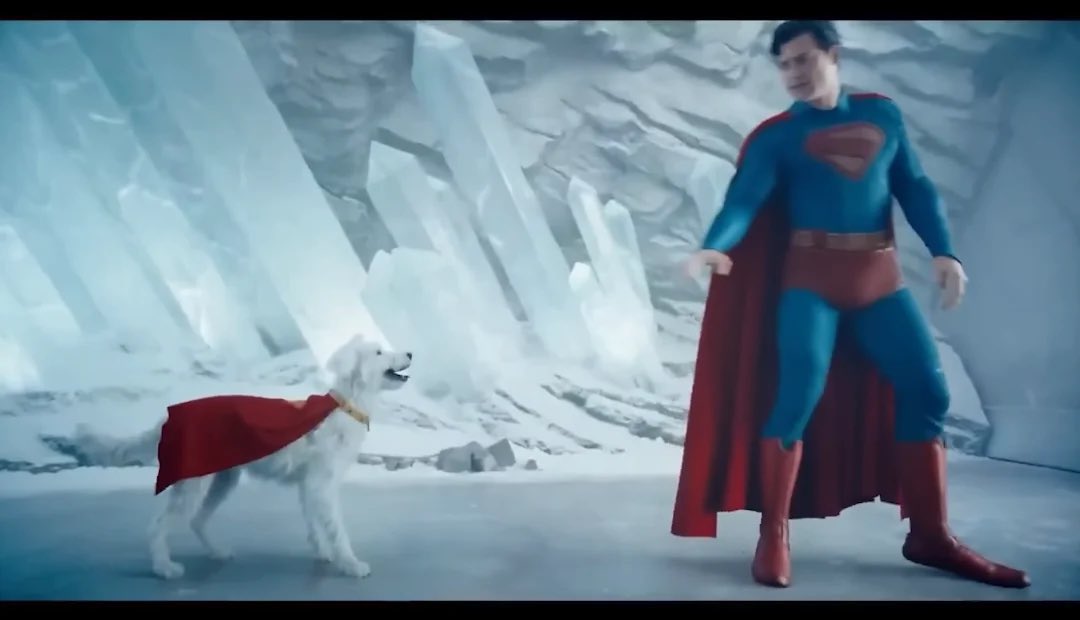 Punk Rocker Cringe tweet media