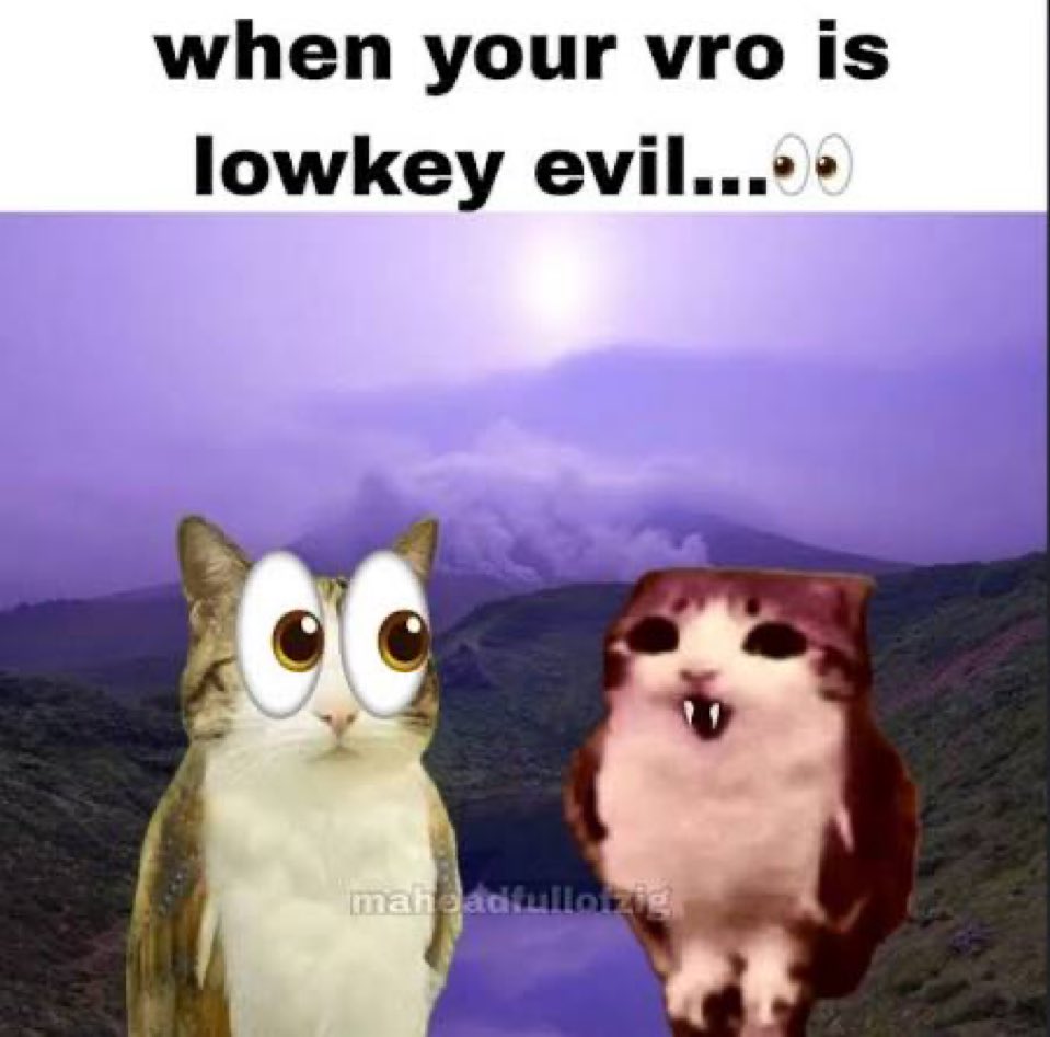 demence ⌬ tweet media