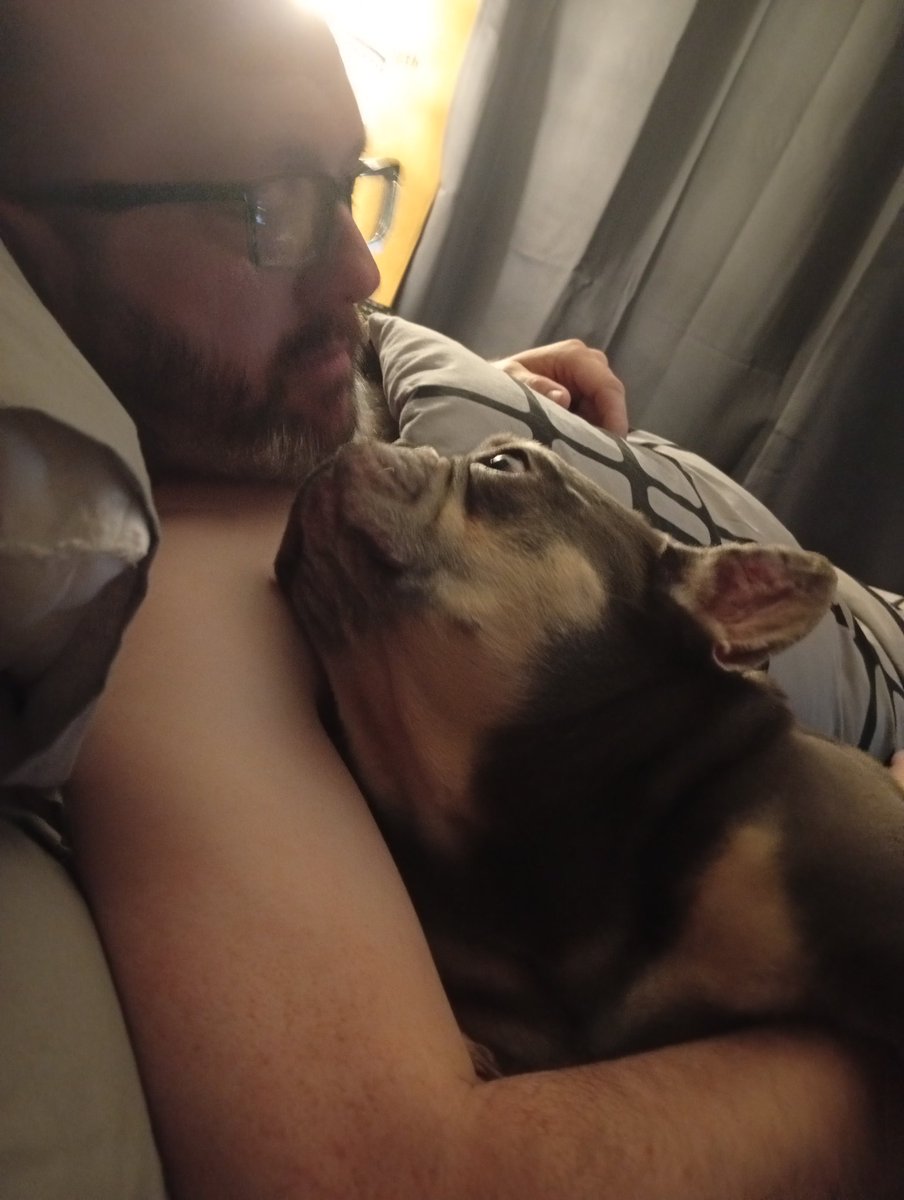 trueb_91's tweet photo. Rocco and @DadBodG4mer having snuggles before bed byes 🤩💕🤩 https://t.co/pqRDcfm471