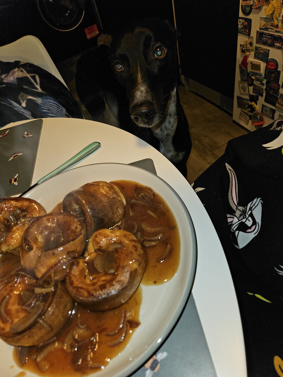 Cooper and Jasper whippet and lurcher tweet media