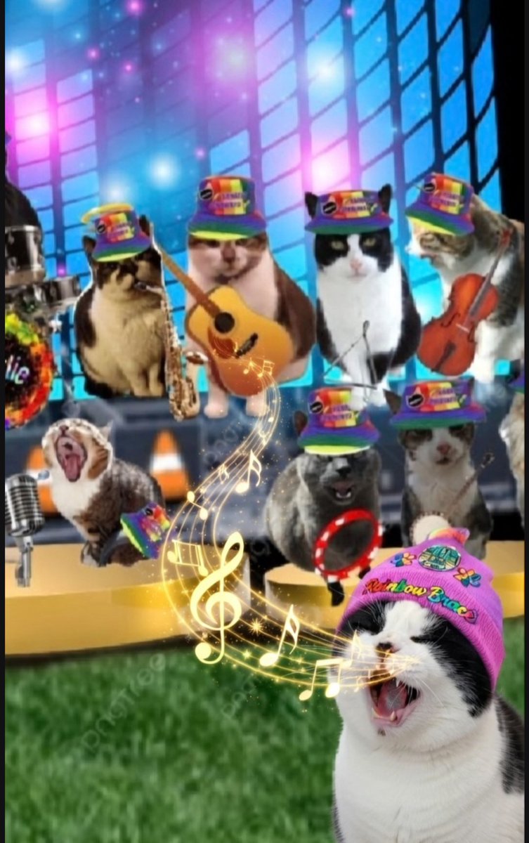 Angel Chester_T_Kitty 🌈 tweet media