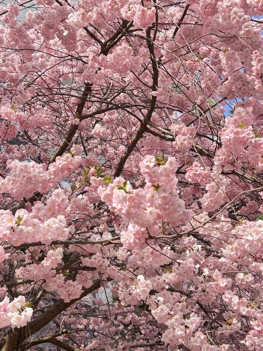 Style minds tweet media