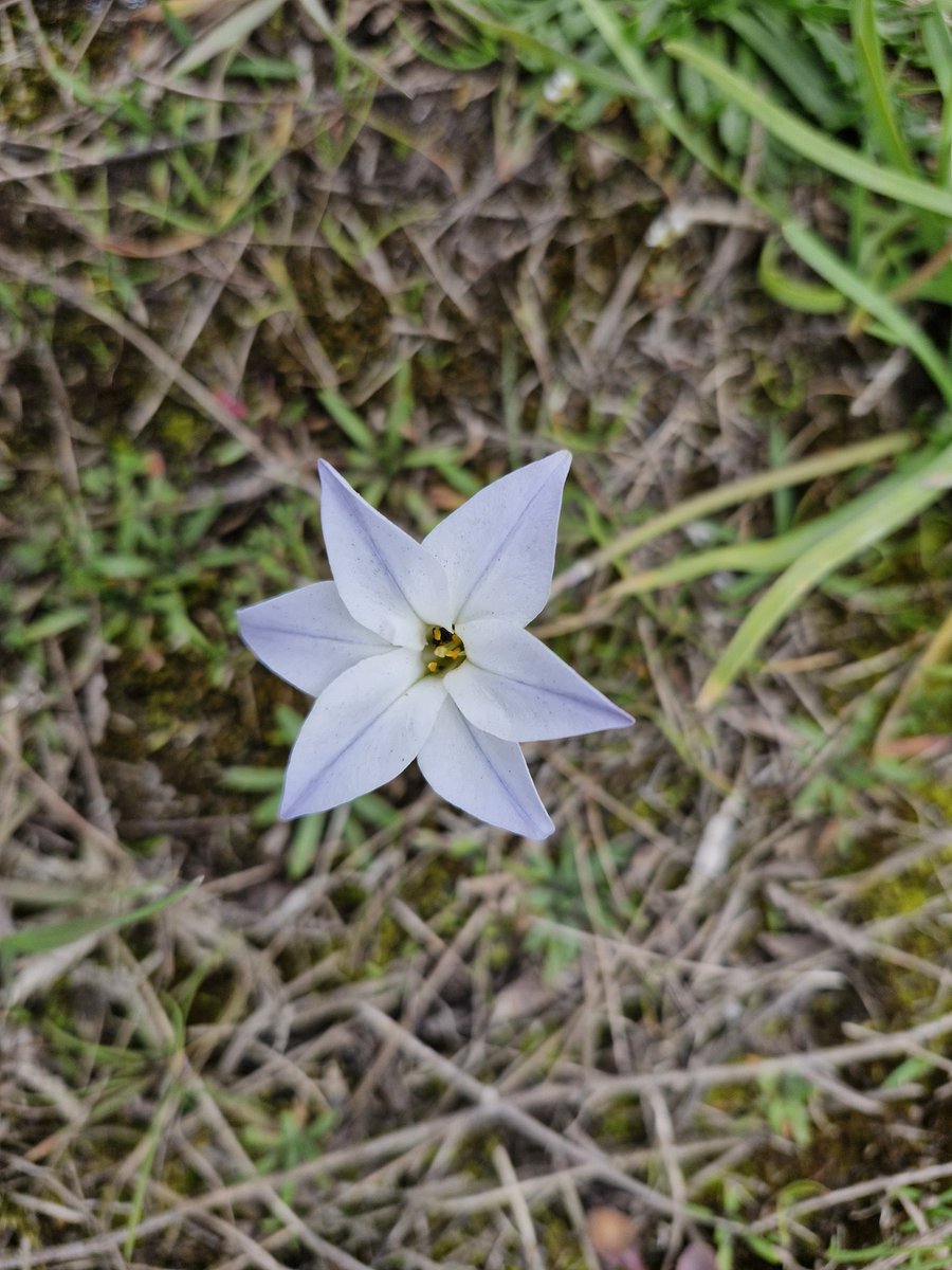 SCANNERMAN tweet media