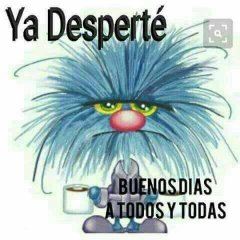 manlio ber. tweet media