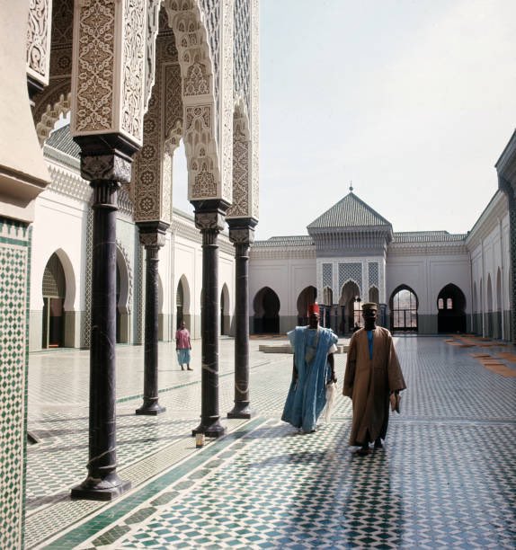 Africa First tweet media