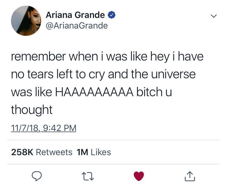 thearianaarmyy tweet media