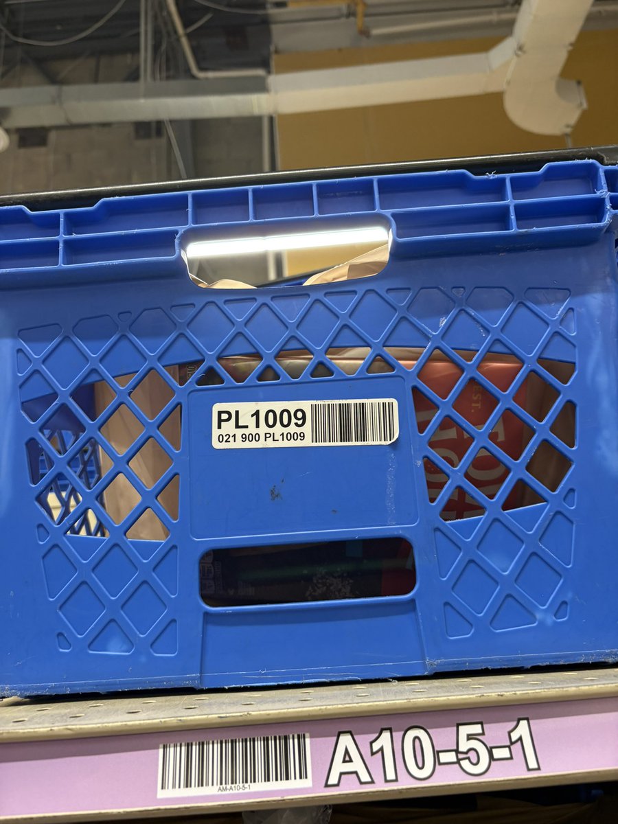 jay #1 is liv’s ⋆˙⟡ 🦕 tweet media