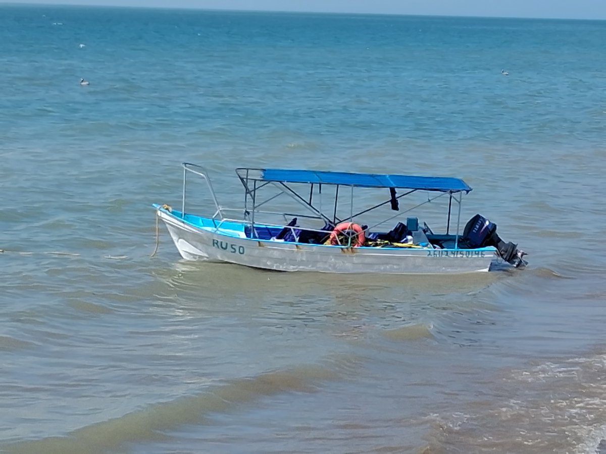 El Sol de Hermosillo tweet media