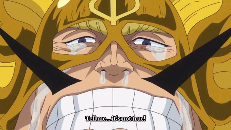 𝐌𝐨𝐧𝐚𝐫𝐜𝐡 👑 tweet media