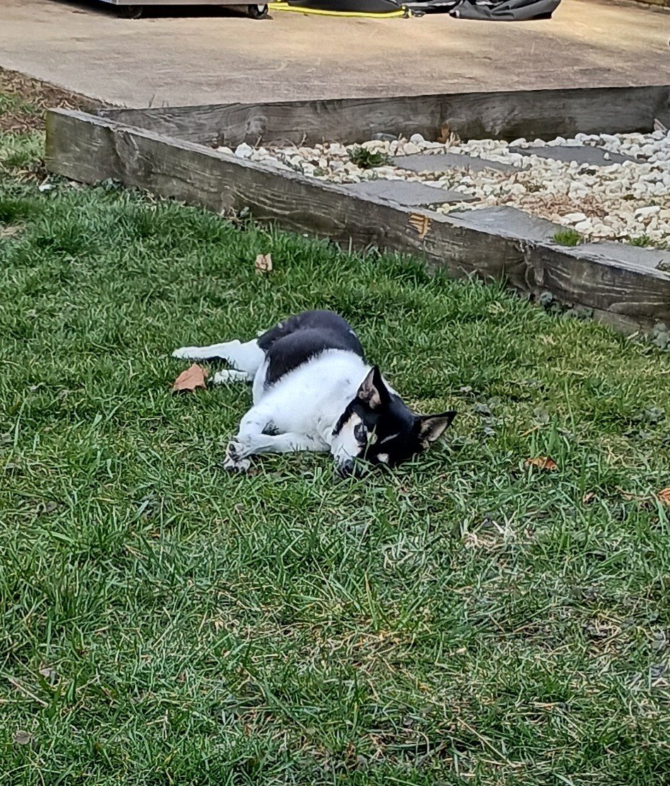 Tim 'The Beez' Bertolet tweet media