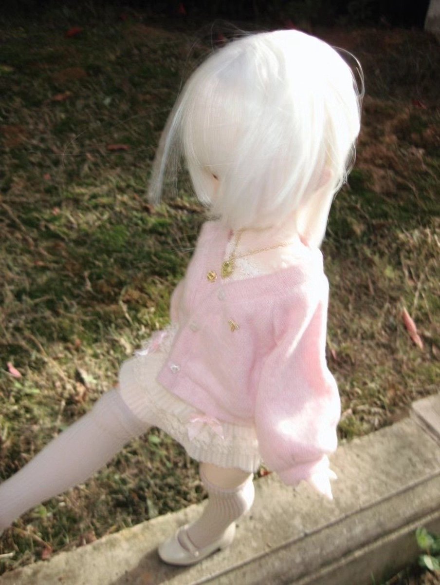 ame-chan (0/3kgs) tweet media