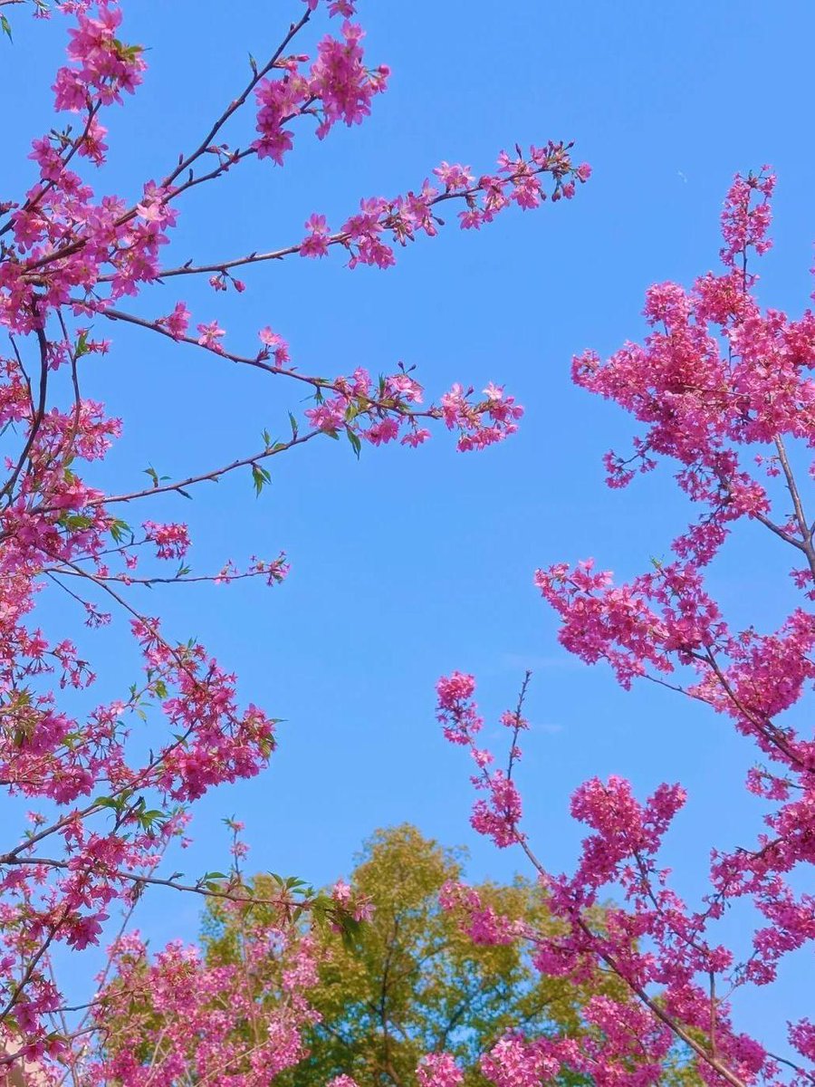 tracy cooper tweet media