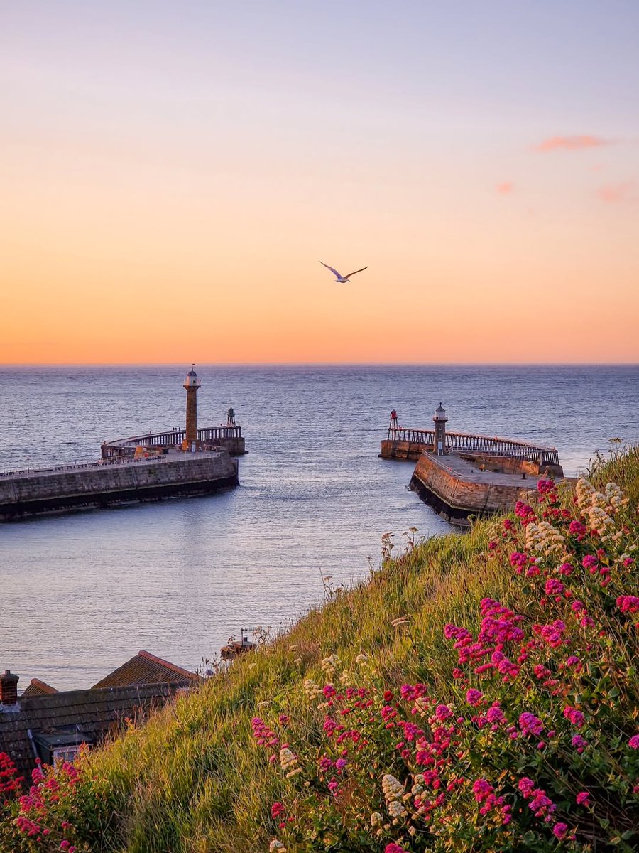 North Yorkshire tweet media