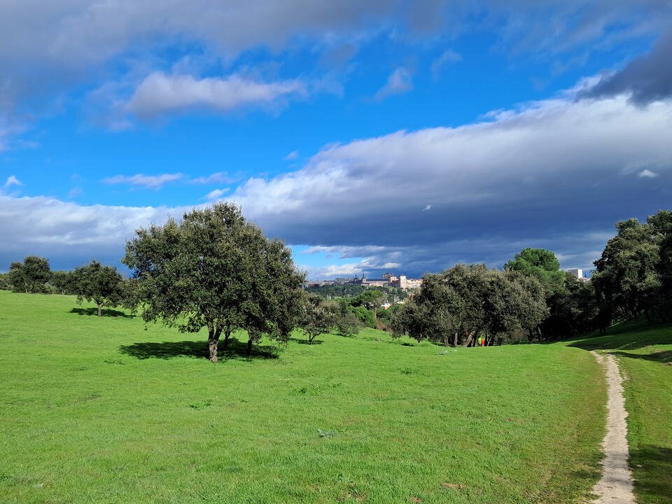 Madrid Proyecta 🏗️ tweet media