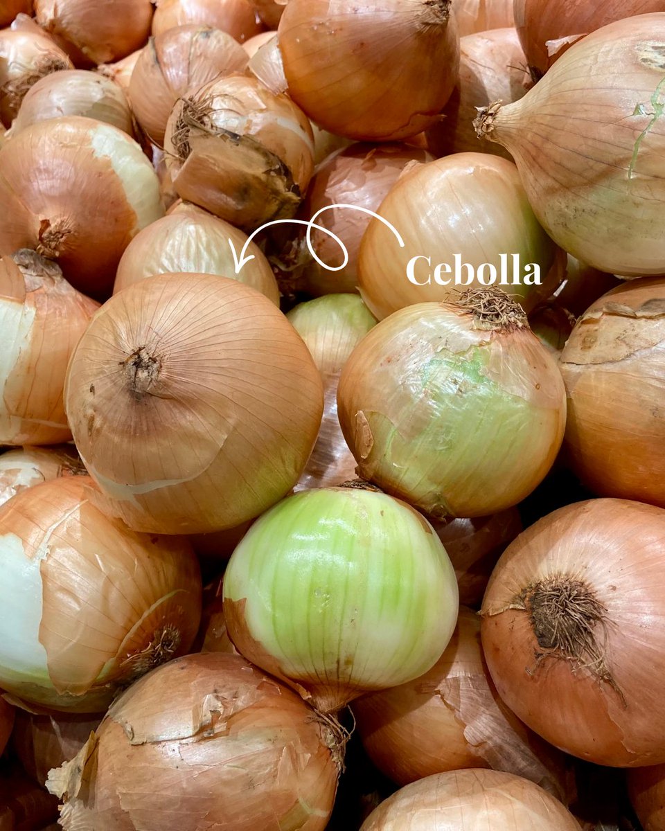 Menorca European Region of Gastronomy tweet media