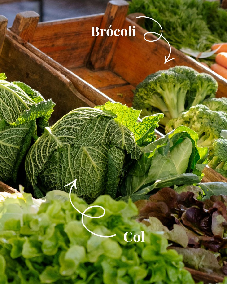 Menorca European Region of Gastronomy tweet media