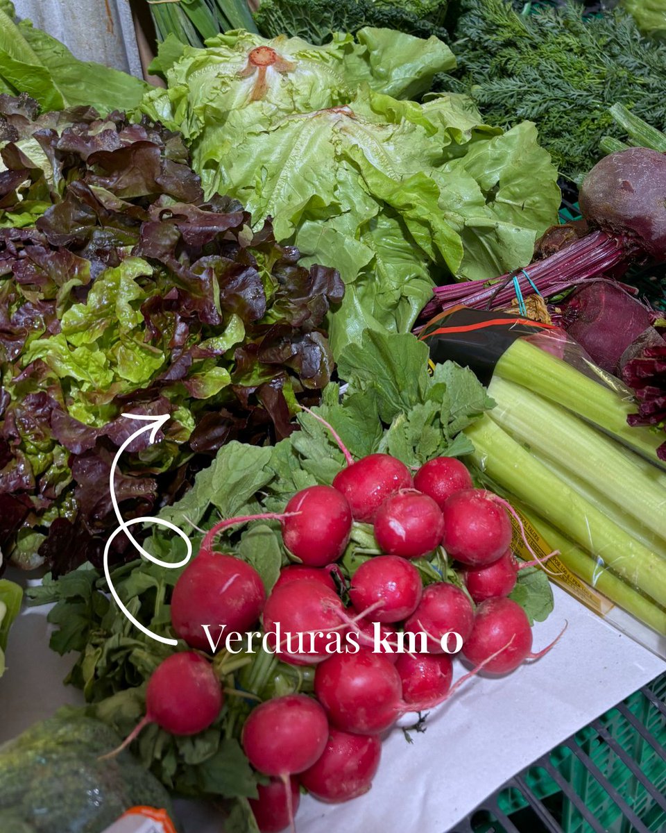 Menorca European Region of Gastronomy tweet media