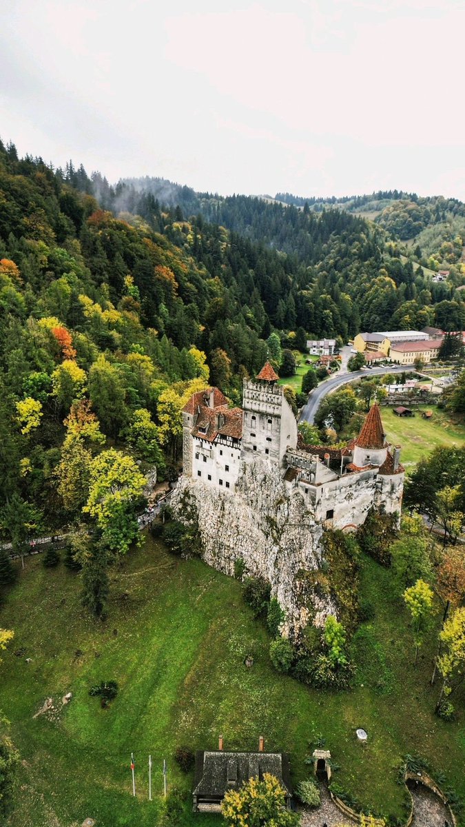 The Nature tweet media