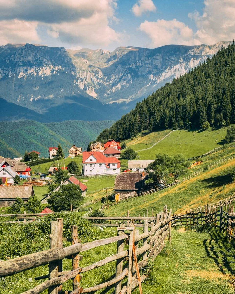 The Nature tweet media