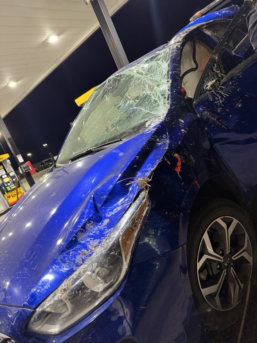 Ashlyn Alexander tweet media