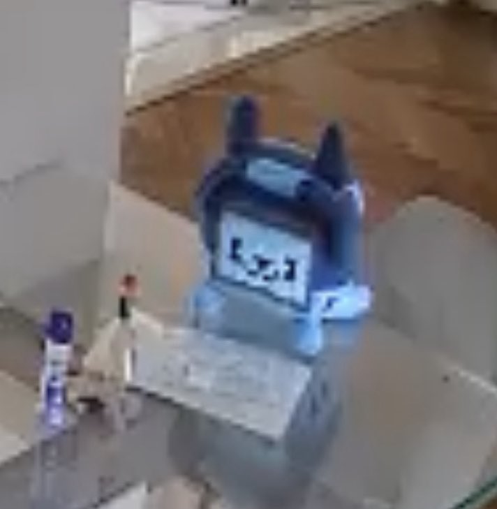 voxl intern tweet media