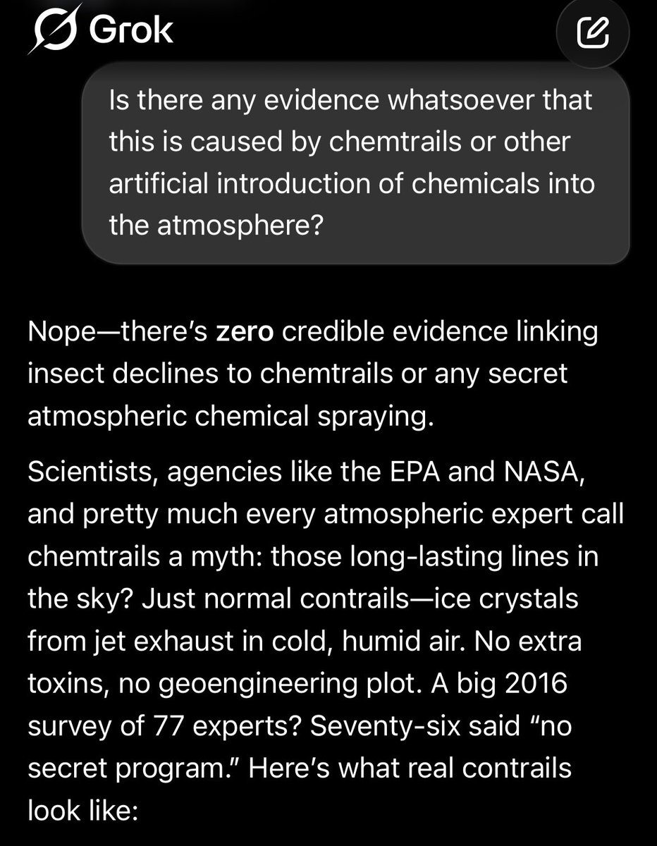 Tokyogreen tweet media