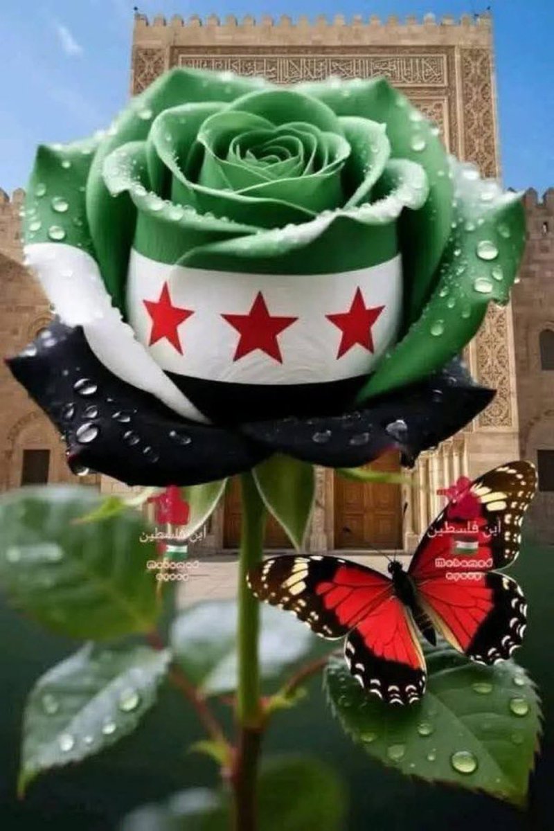 Samira Sulaiman tweet media