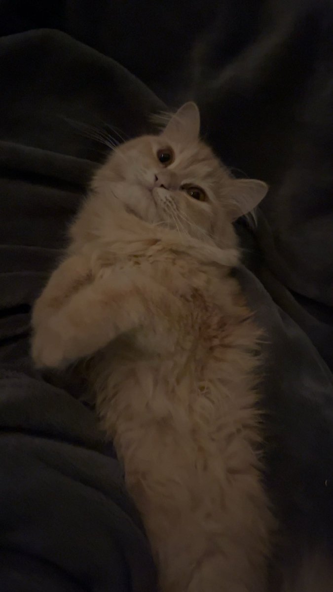 Rawan Alahmadi tweet media