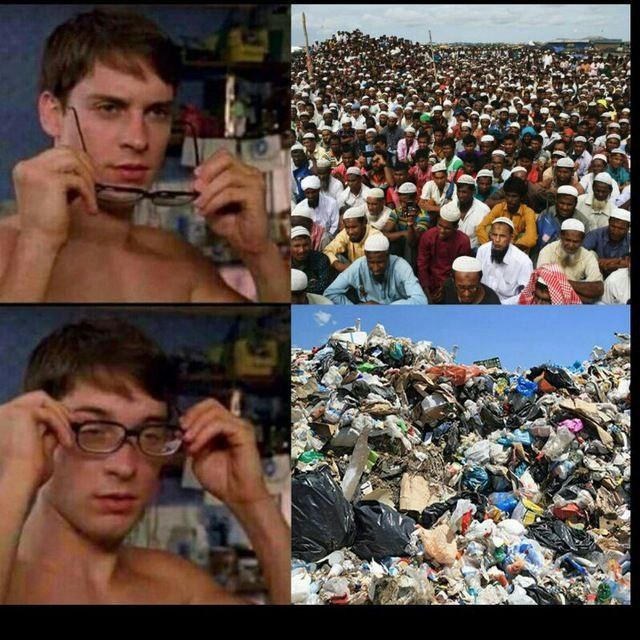 Monarque tweet media