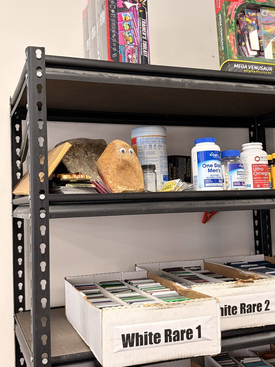 lily hoang-zhu @ bluesky tweet media