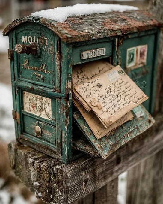 ben deniz tweet media