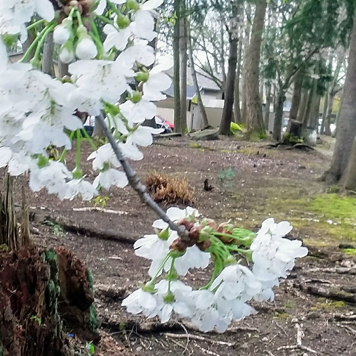 Elaine Hamilton tweet media